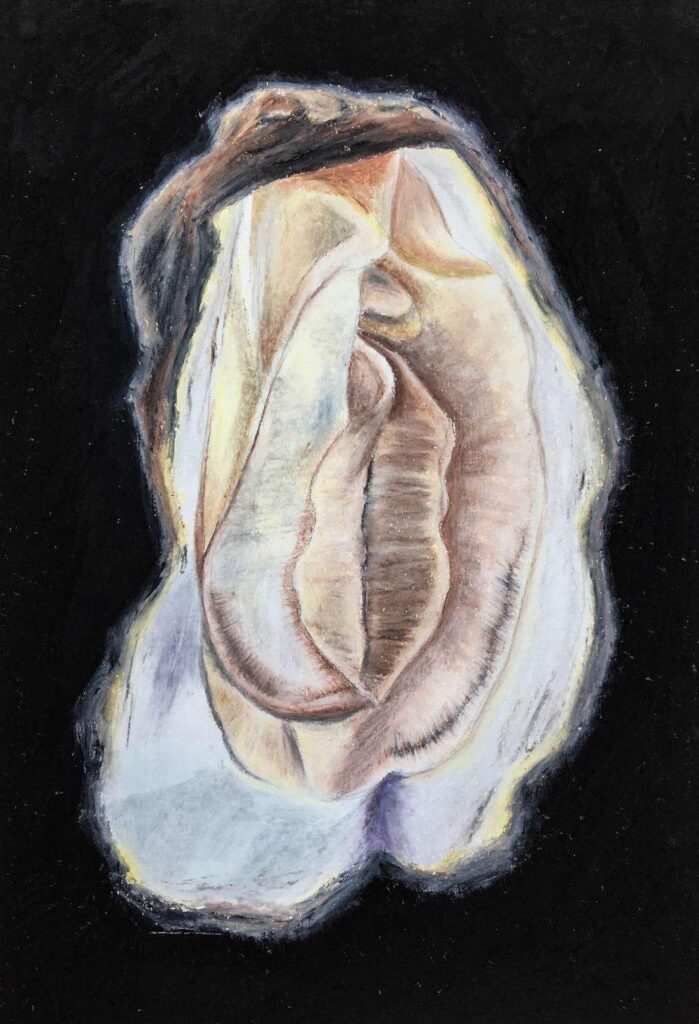 Virginica nº1, 2020. Pastel oleoso sobre papel. 42x29 [1036x1517 px]