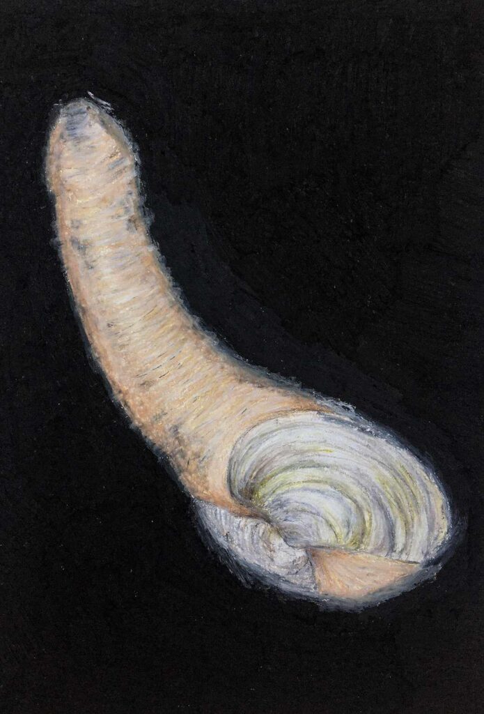Generosa nº1, 2020. Pastel oleoso sobre papel. 42x29 [1036x1527 px]