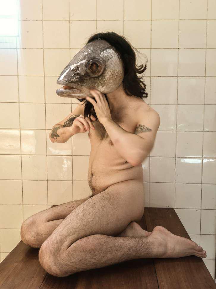 Transições, fotografia e manipulação de imagem, 2020 [727x970 px]