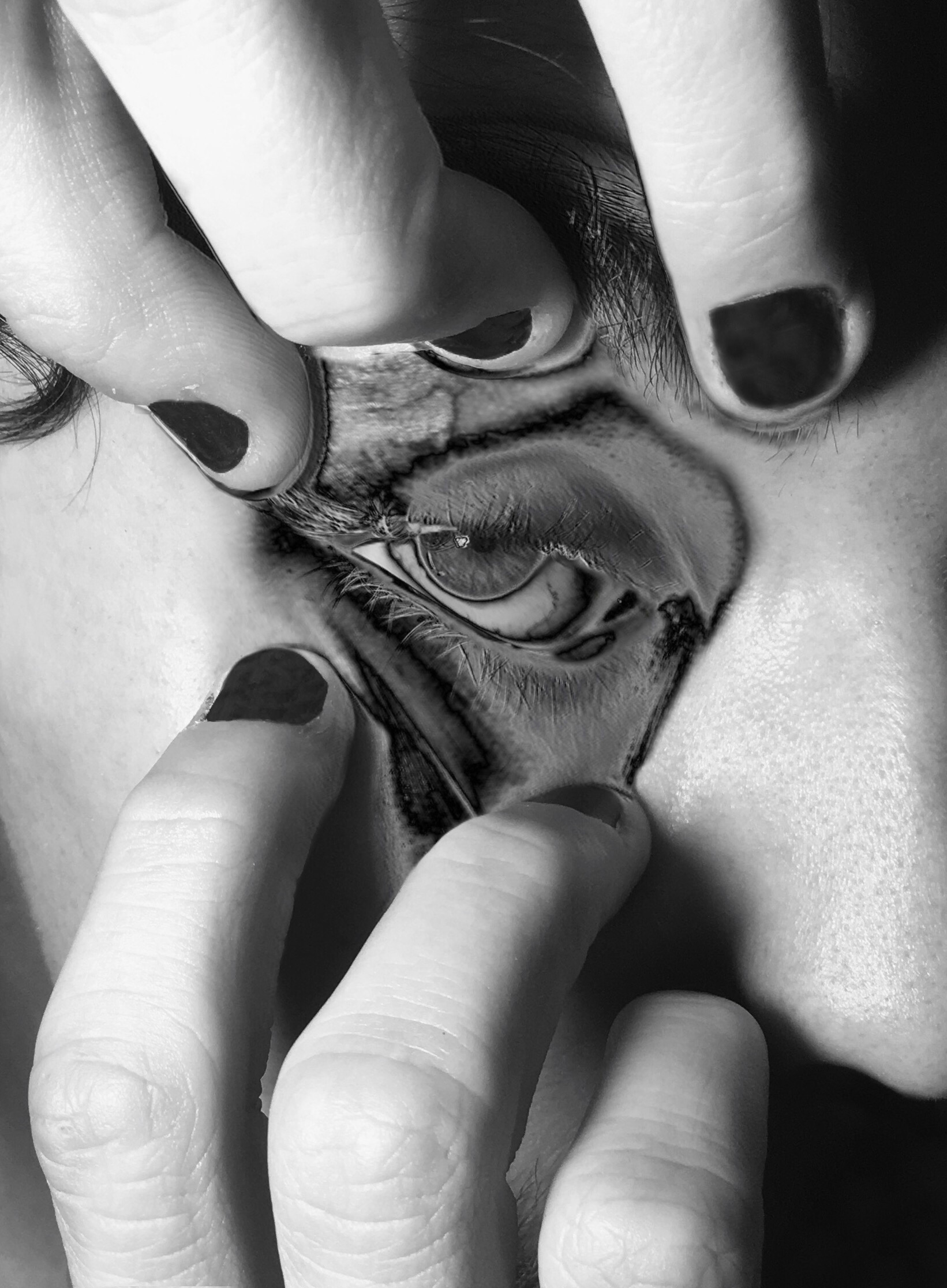 Transfusão do Olhar Negativo (2019) (iPhone XR, edição PS e PicsArt) [2580x2580 px]