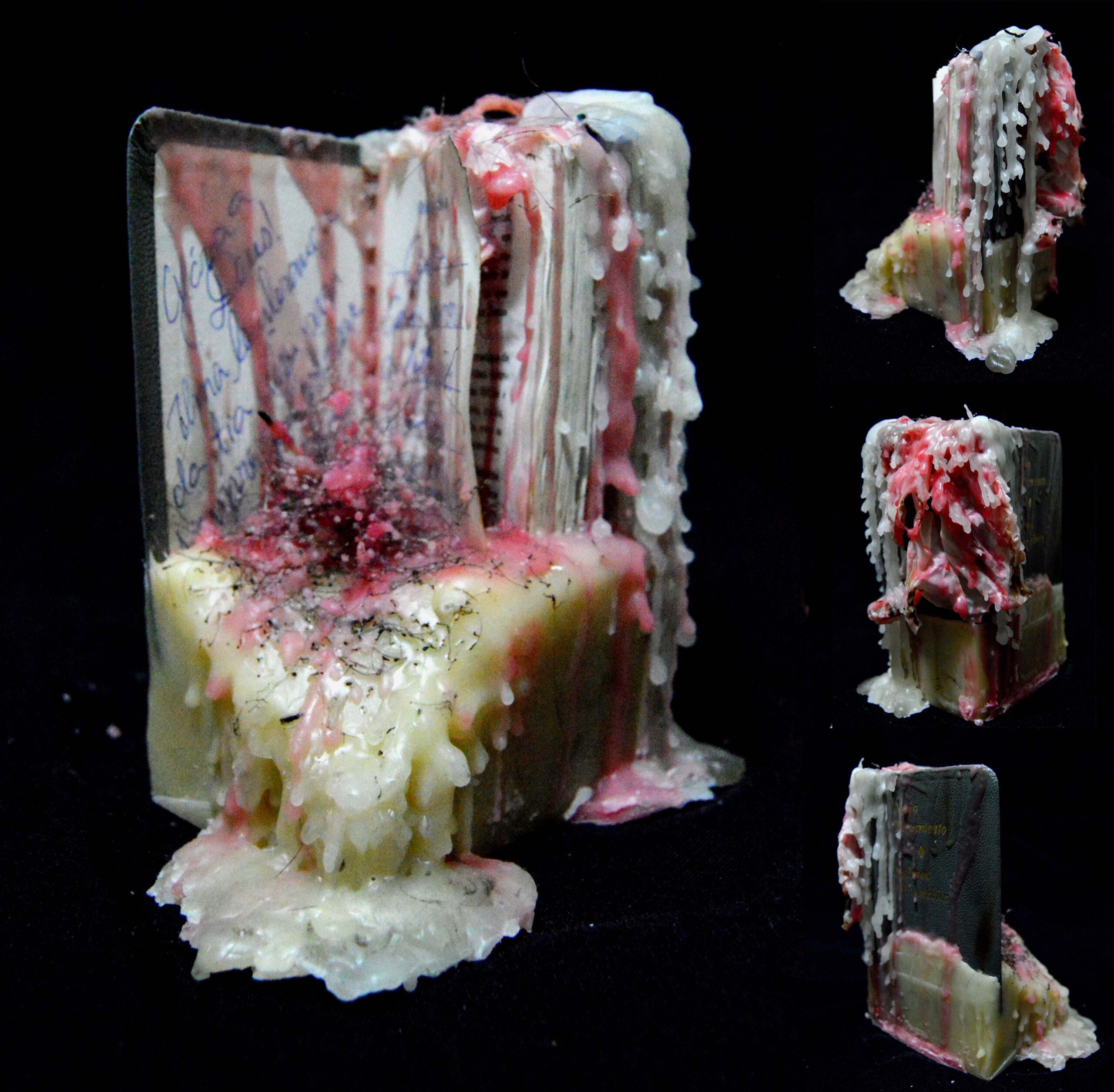 Série Blasfêmia, Objeto 3, 2019 Materiais: Bíblia (ready-made), cera de abelha branca, cera de abelha amarela, cera de velas vermelhas, luva cirúrgica, cabelo. Tamanho: 13,5x14,5x15,7 cm Técnica: Objeto Tridimensional / Escultura [2560x2510 px]