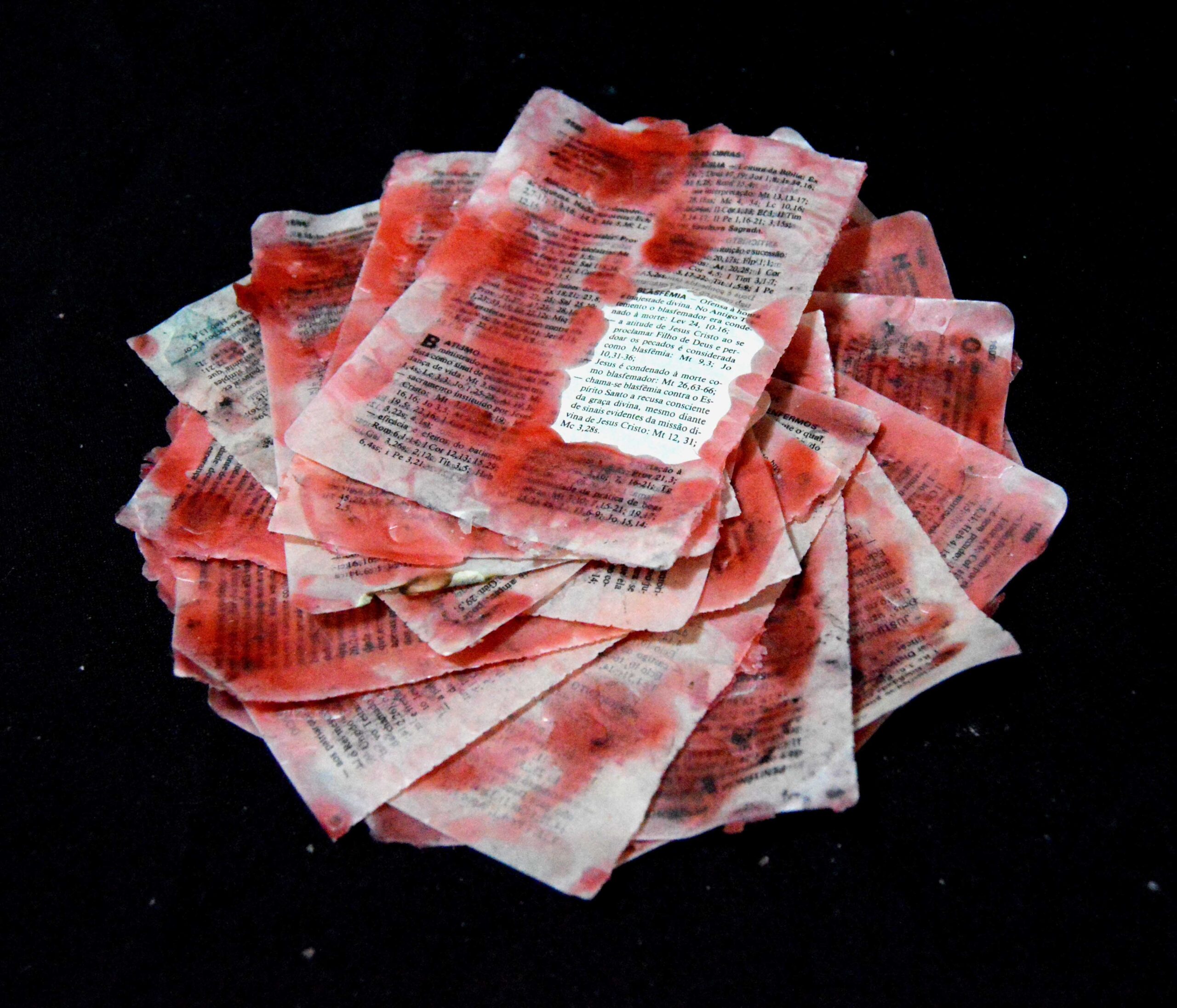 Série Blasfêmia, Blasfêmia Segundo a Bíblia, 2019 Materiais: Páginas de bíblia (ready-made), cera de vela vermelha. Tamanho: 23x23x2,5 cm Técnica: Objeto Tridimensional / Escultura [2560x2194 px]