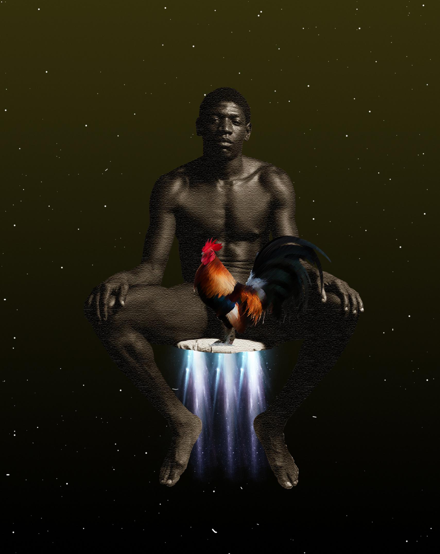 Cock 2019 [1709x2153 px]