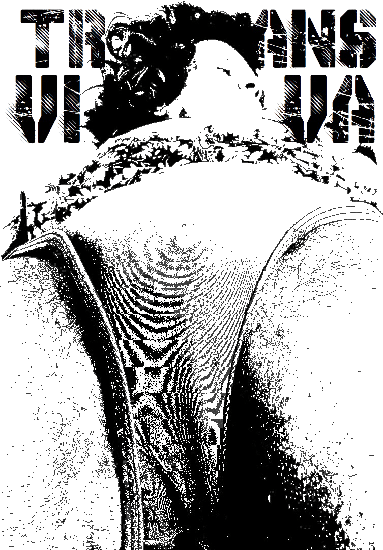 TRANSVIVA 2018
Lambe-lambe em Arte Digital, A3 (297x420mm) [753x1079px]