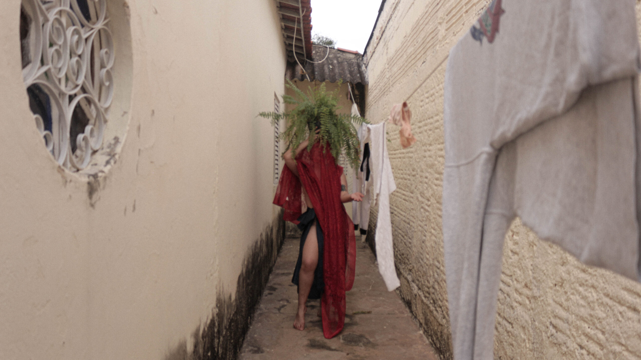  TOALHA DE MESA
2020
FOTOGRAFIA COLORIDA
24.64 x 43.89 cm [2560x1438px]