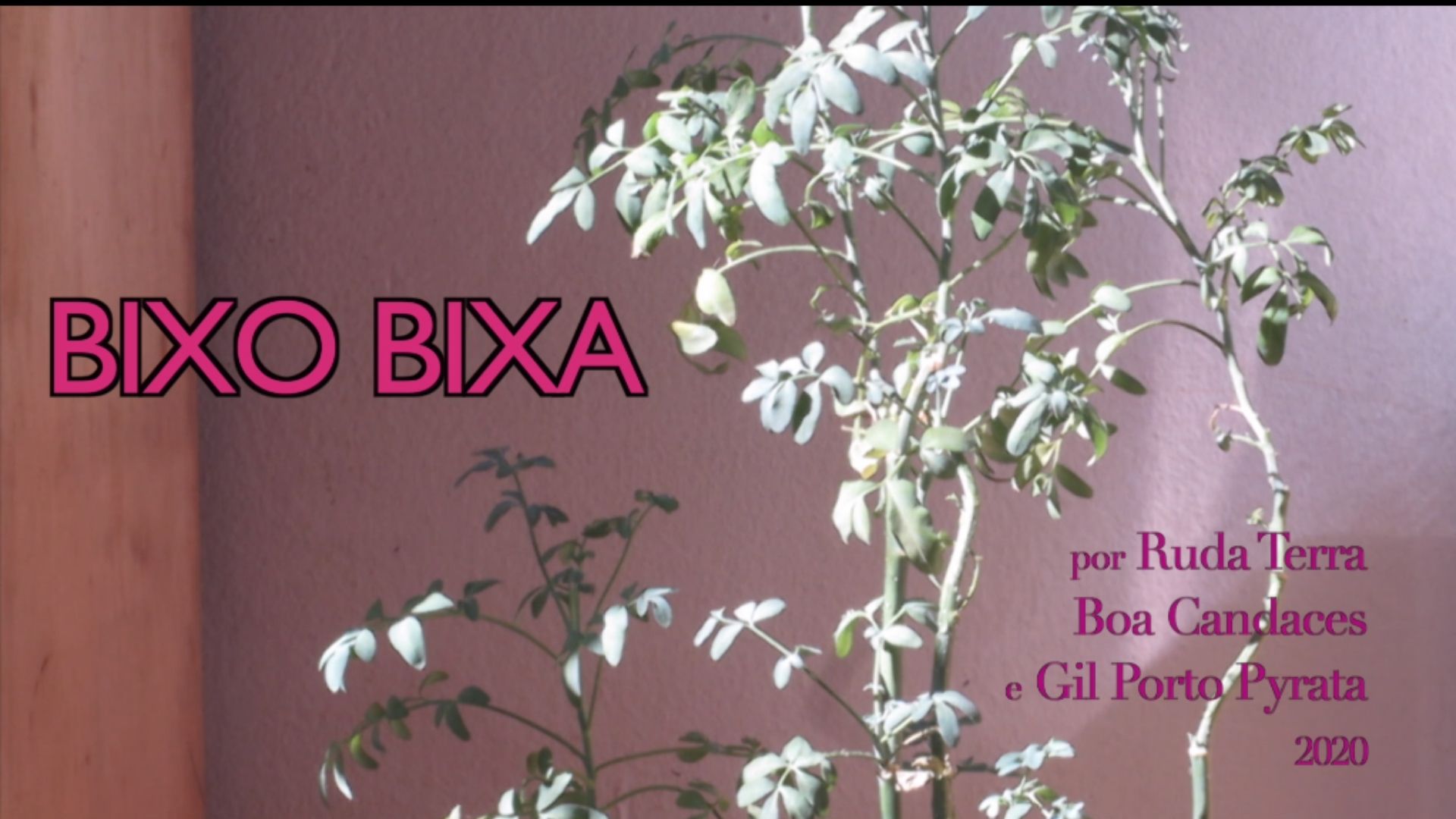 BIXO BIXA, 2020. 
Videoperformance construída e finalizada juntamente RUDA TERRA BOA acerca do tema: Prefiro ser bixa. Propõem-se um questionamento da categoria bicho x ser pessoa humana, somado ao jogo de palavras que as categorias de gênero e sexualidade impõem: “Prefiro ser bixo, prefiro ser bixa”. [1920x1080px]