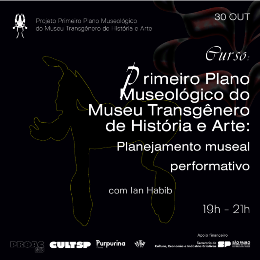 Primeiro Plano Museológico Do Museu Transgênero De História e Arte: Planejamento Museal Performativo (30/10/24)